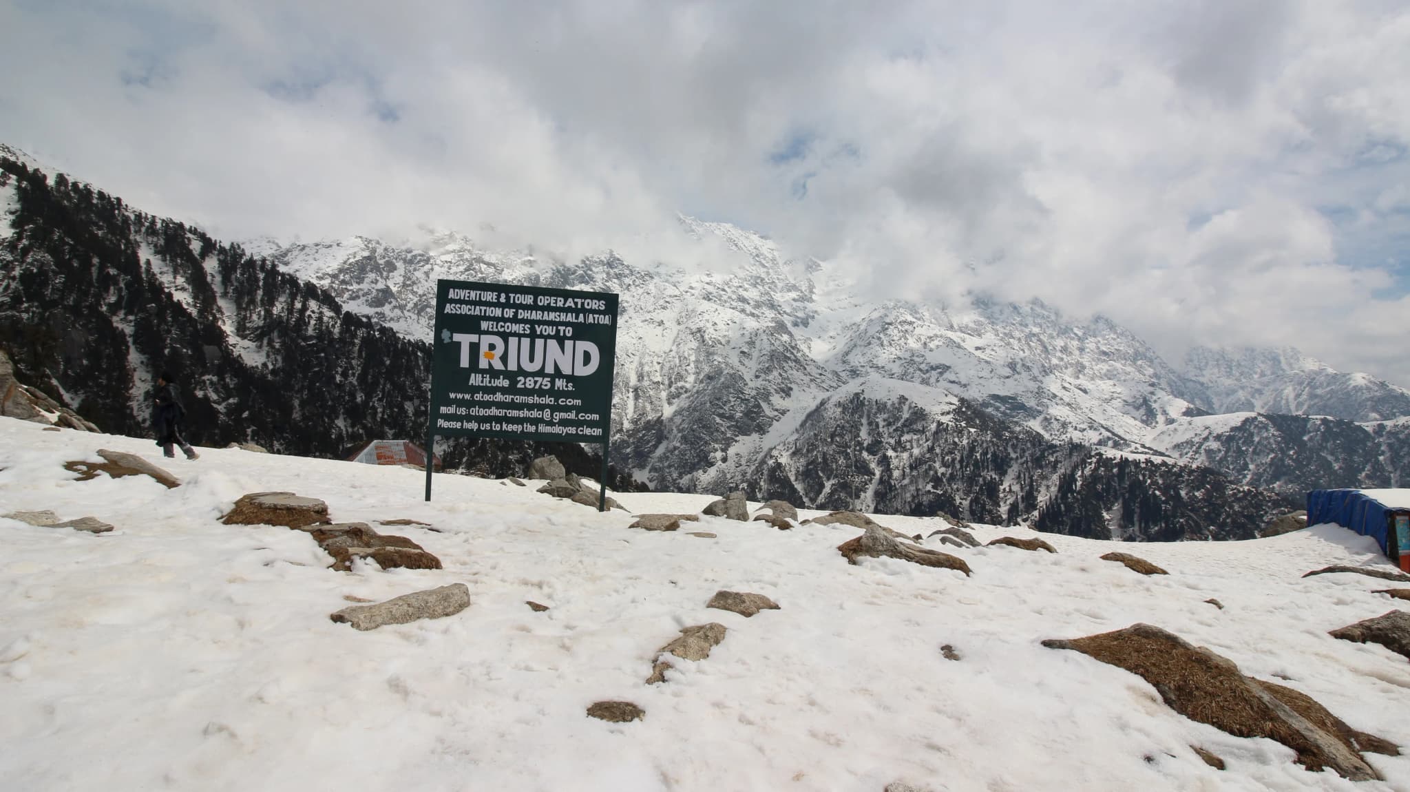 Triund Trek