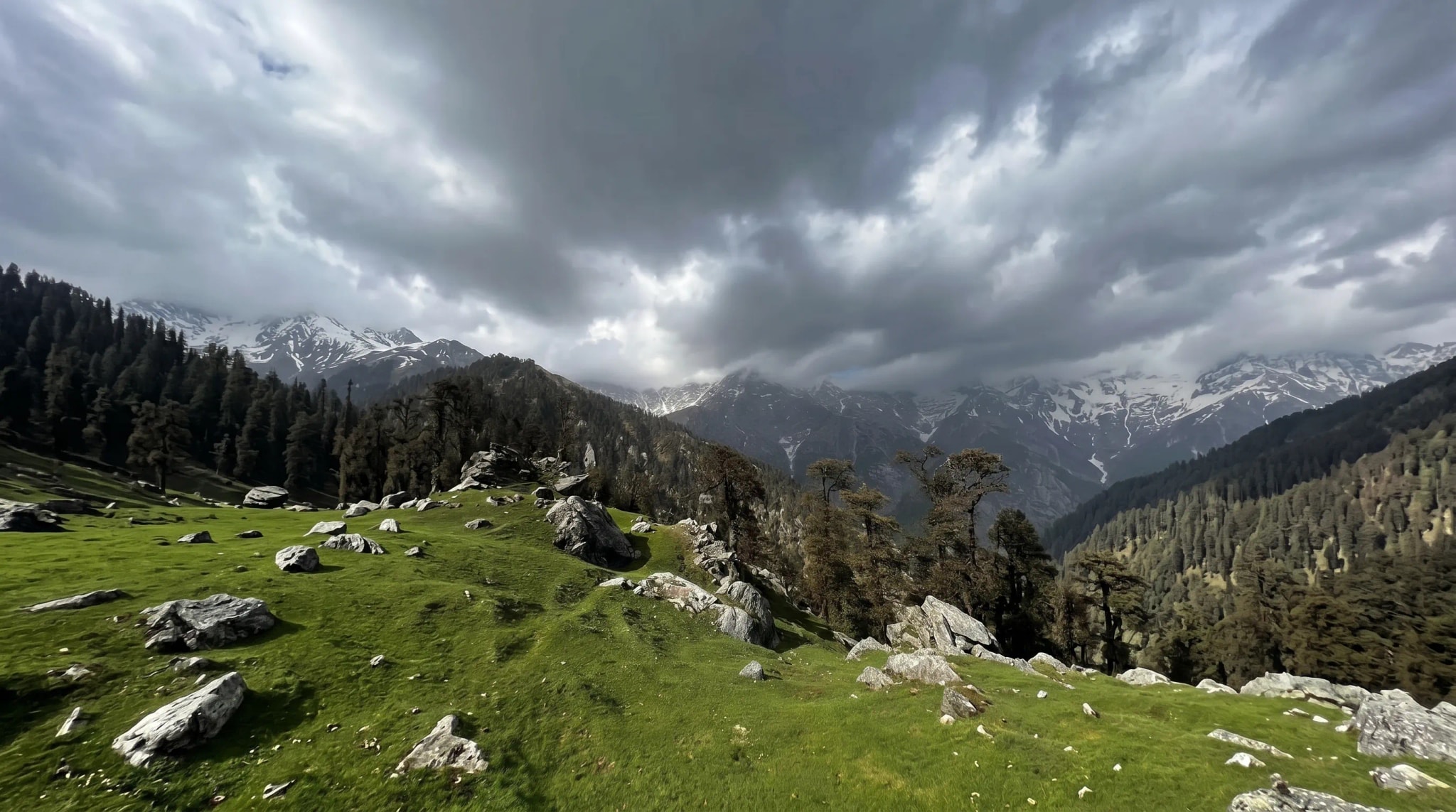 Alpine meadow, brooding storm clouds, snow peaks